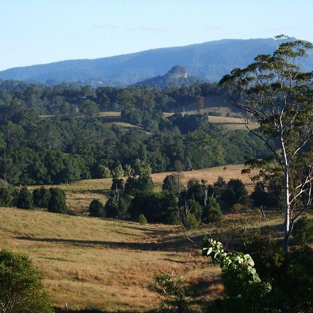 Grey Gum Lodge Nimbin Exterior foto