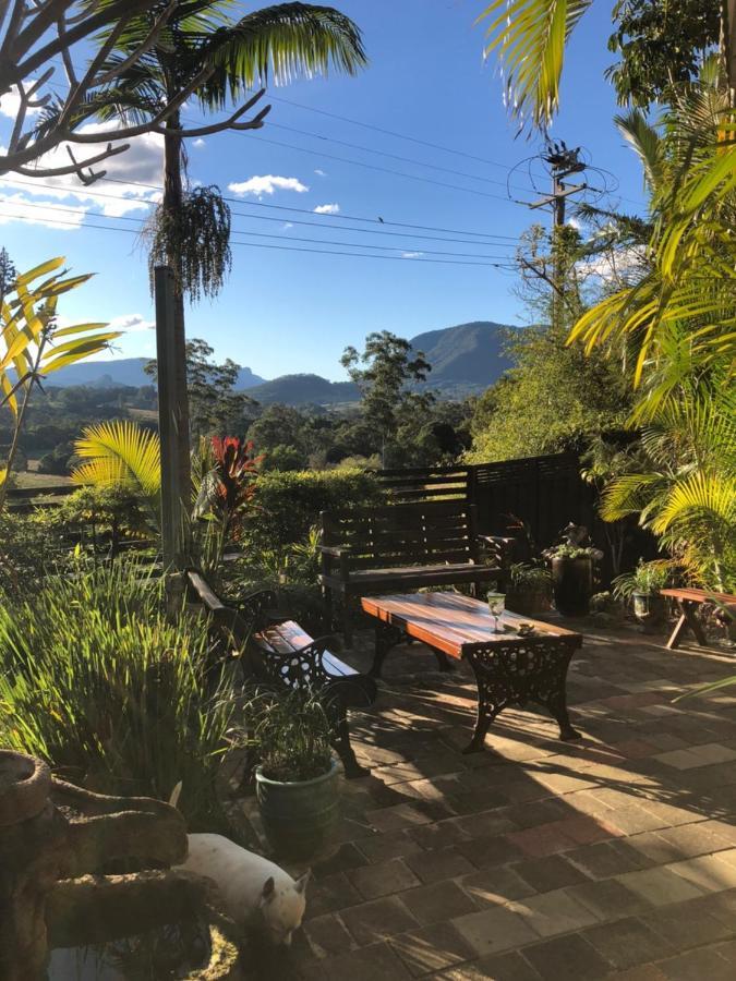 Grey Gum Lodge Nimbin Exterior foto