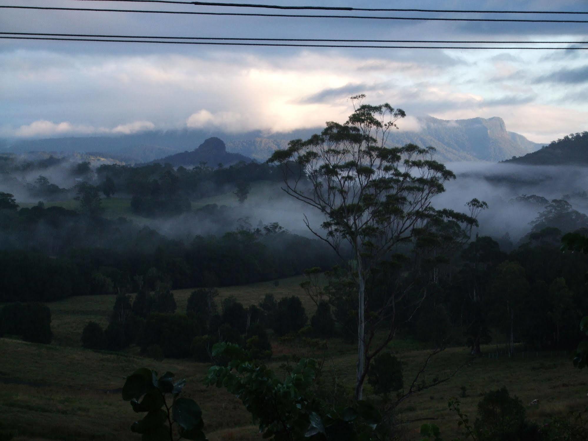 Grey Gum Lodge Nimbin Exterior foto